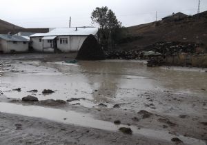 Sağanak Tekman'ı da vurdu